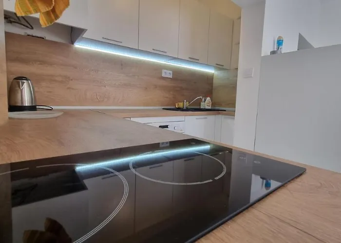 Black Sea Apartament *